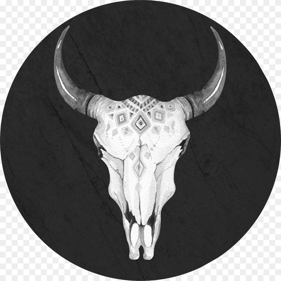 Boho Bull Skull Skull, Animal, Mammal, Cattle, Livestock Free Png Download
