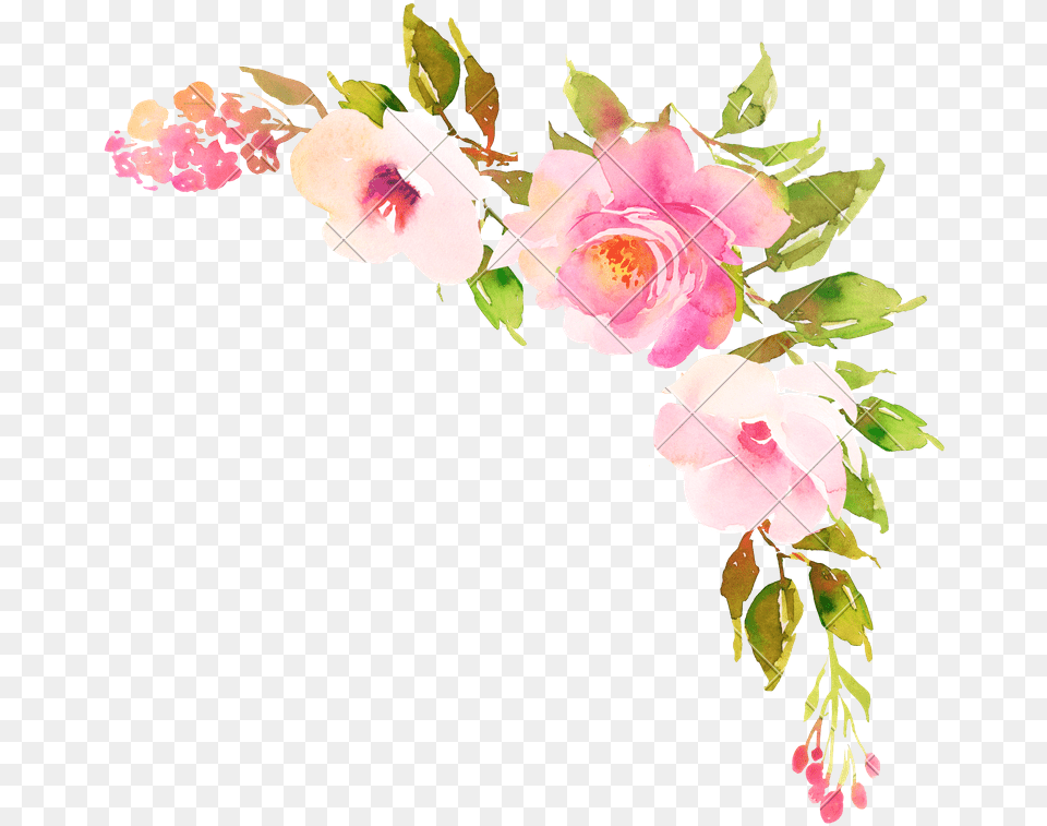 Boho Color Cool Beautiful Pastel Flower Boho Flower Clipart, Plant, Art, Pattern, Graphics Free Transparent Png