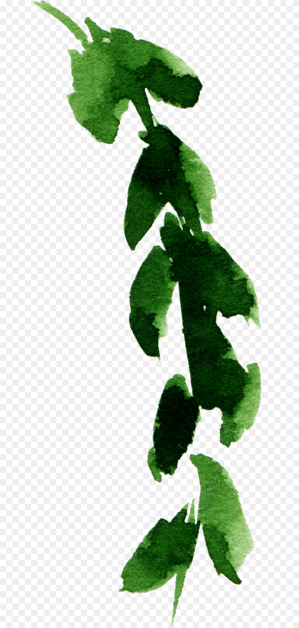 Boho Fabric 8quot Woodland Fox Green Green Custom, Leaf, Plant, Vine, Ivy Free Png Download