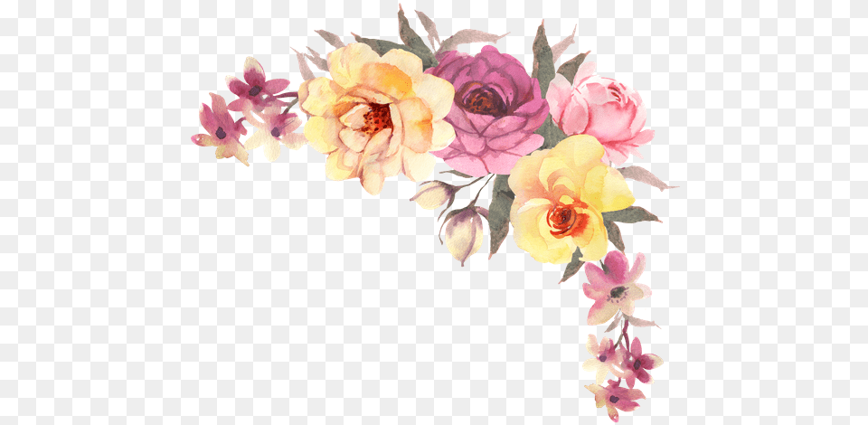 Boho Flower Picture Watercolor Flower Corner Background, Flower Bouquet, Art, Floral Design, Flower Arrangement Free Transparent Png