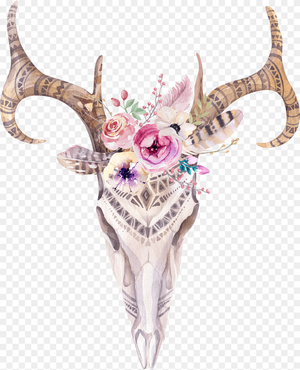 Boho Skull With Antlers Canvas Deer Skull Painting Png Image