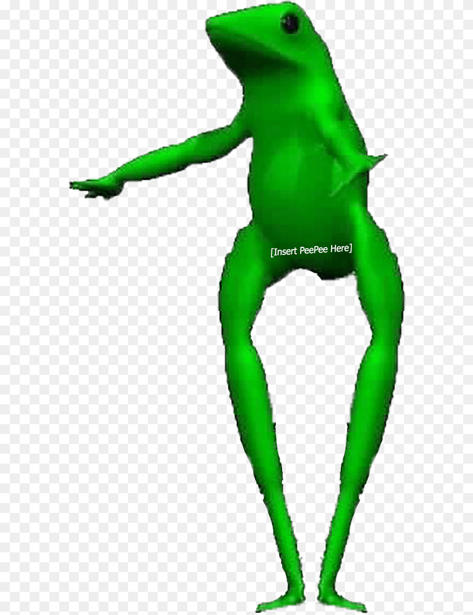 Boi Frog Frog Riding A Unicycle Gif, Green, Animal, Green Lizard, Lizard Free Transparent Png