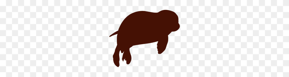 Boi Transparent Or To Download, Animal, Mammal, Rabbit, Pig Png