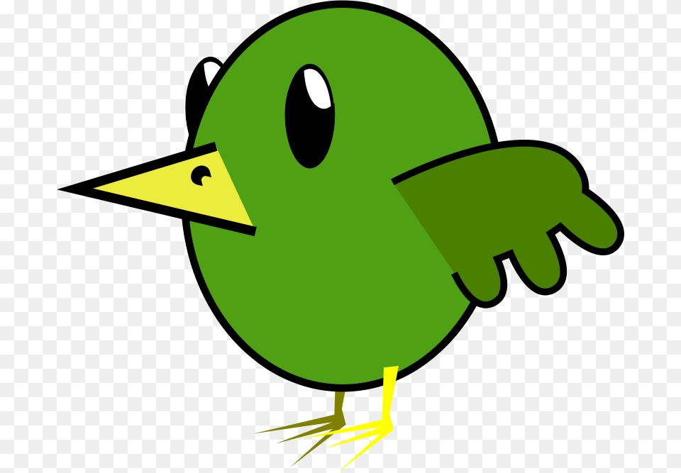 Boid, Animal, Beak, Bird, Green Png Image