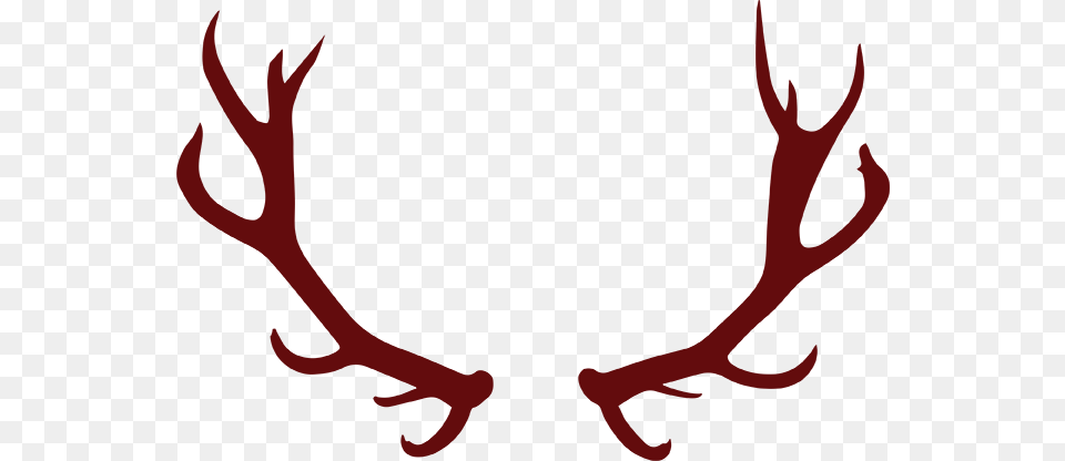 Boivin Lampiste, Maroon Png Image