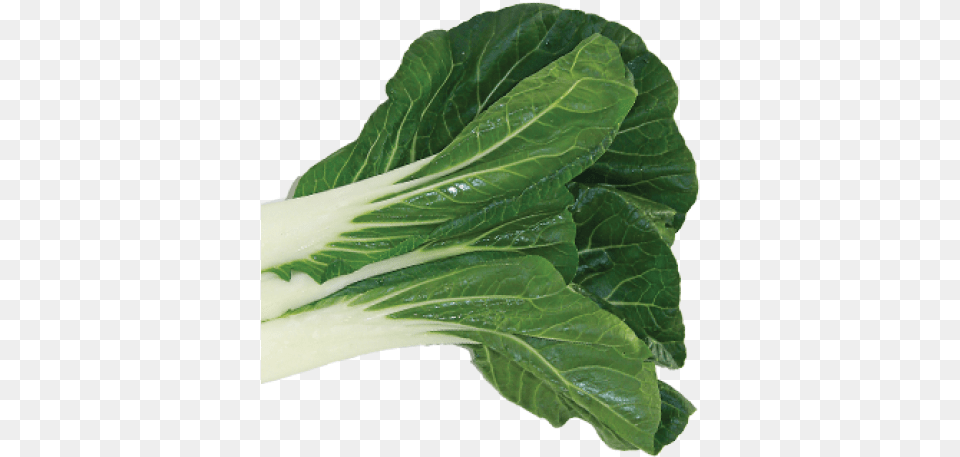 Bok Choy, Food, Leafy Green Vegetable, Plant, Produce Free Png Download