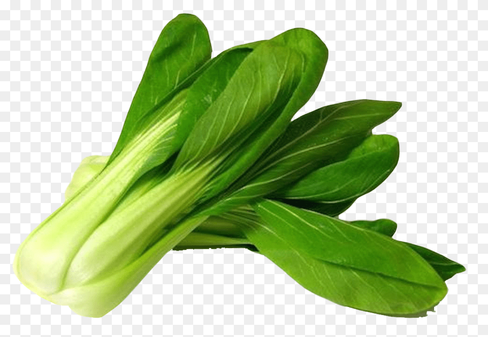 Bok Choy, Food, Leafy Green Vegetable, Plant, Produce Free Transparent Png