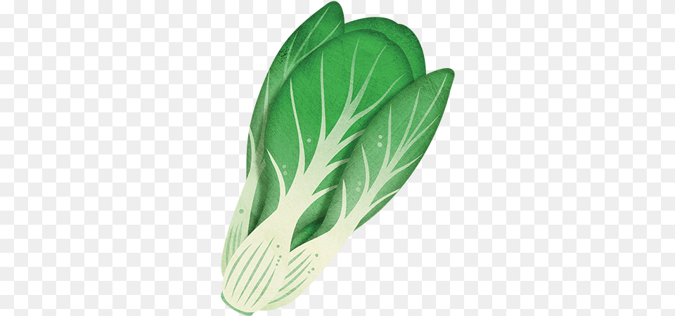 Bok Choy Artificial Flower, Food, Leafy Green Vegetable, Plant, Produce Free Png Download