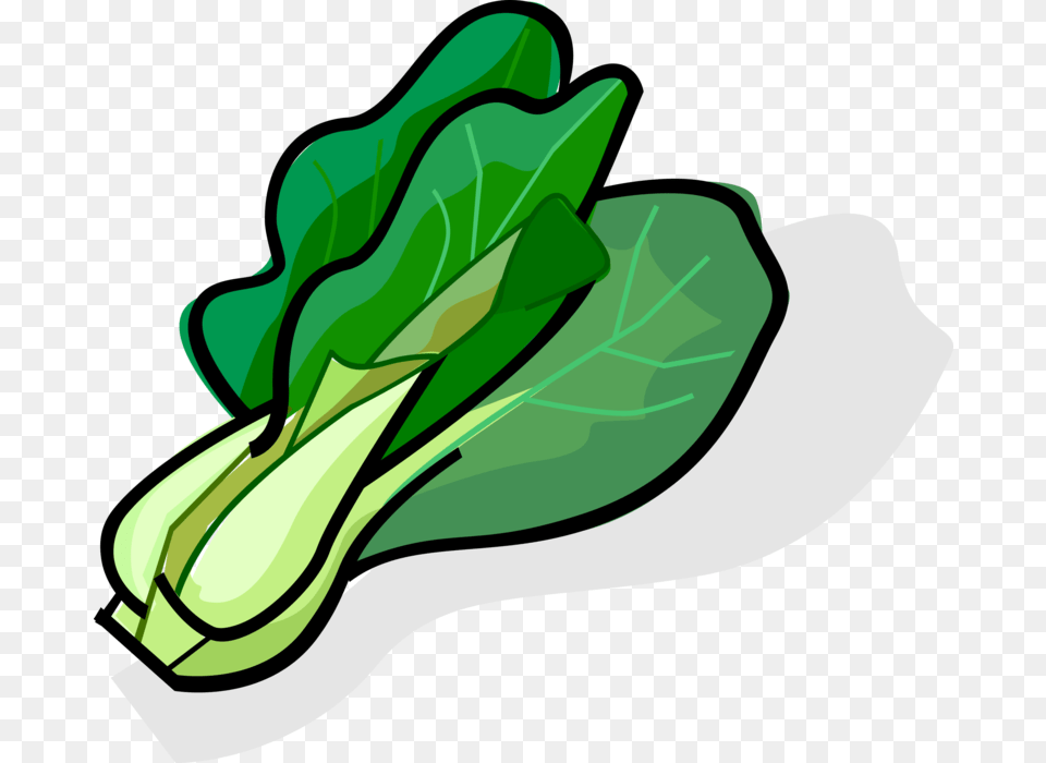 Bok Choy Cabbage, Food, Leafy Green Vegetable, Plant, Produce Free Transparent Png