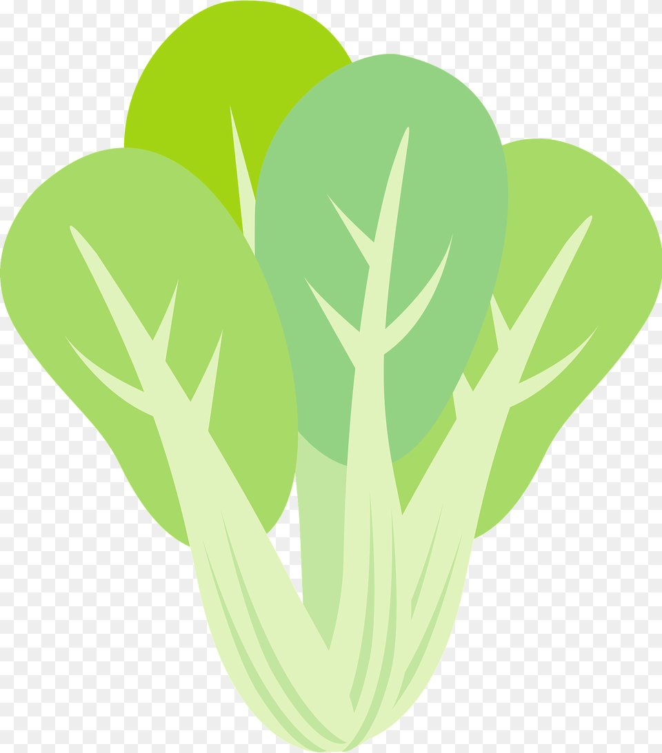 Bok Choy Clipart, Green, Leaf, Plant, Herbal Png