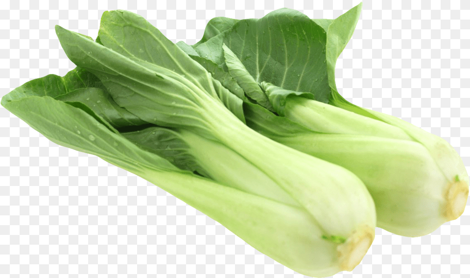 Bok Choy Clipart Yellow Vegetable Bok Choy, Food, Leafy Green Vegetable, Plant, Produce Free Png