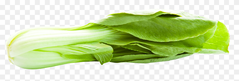 Bok Choy Image, Food, Leafy Green Vegetable, Plant, Produce Png
