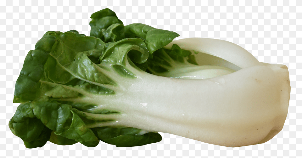 Bok Choy Image1, Food, Leafy Green Vegetable, Plant, Produce Free Png