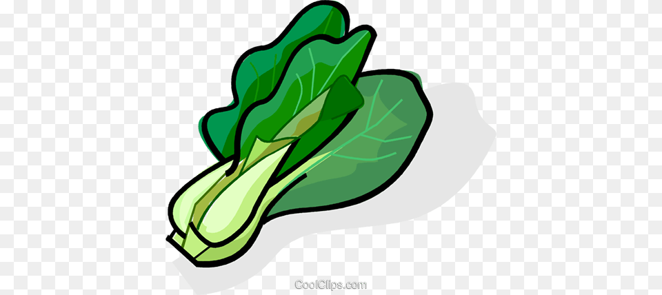 Bok Choy Royalty Vector Clip Art Illustration, Food, Leafy Green Vegetable, Plant, Produce Free Transparent Png