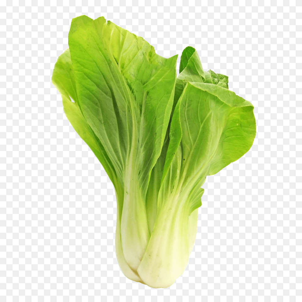 Bokchoy Food, Leafy Green Vegetable, Plant, Produce Png Image
