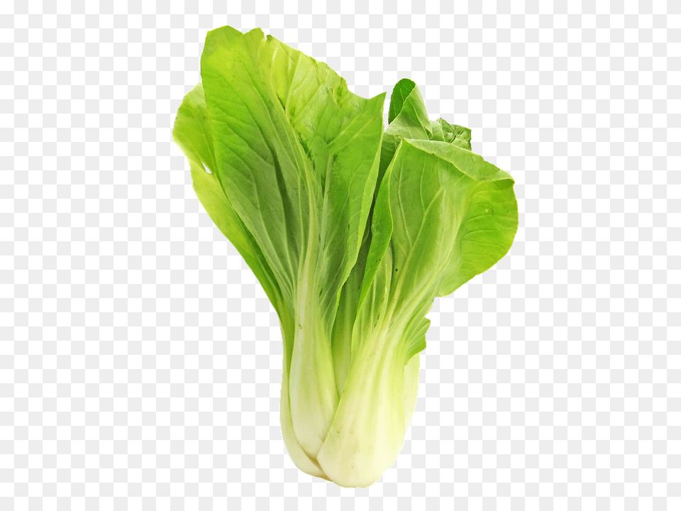 Bokchoy Food, Leafy Green Vegetable, Plant, Produce Free Transparent Png