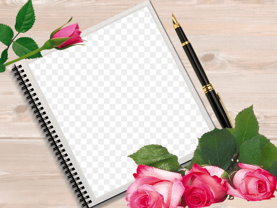 Bokeh Photography Flower Clipart Flower Frame Stationary Garden Roses, Plant, Rose, Pen Free Transparent Png