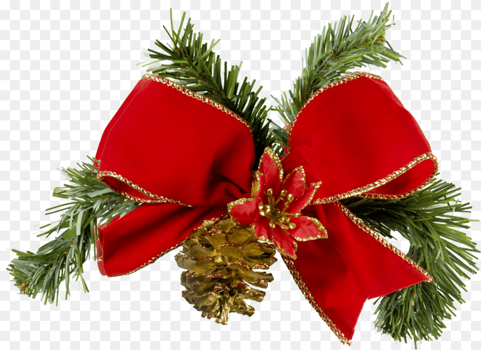 Bolas De Navidad Motivos De Navidad, Plant, Tree, Conifer, Christmas Free Png Download
