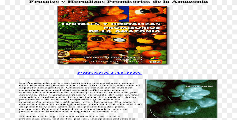 Bolas De Navidad Natural Foods, Burger, Food, Art, Collage Png