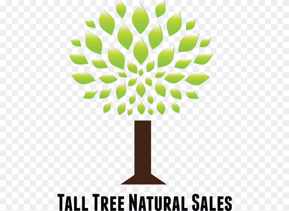 Bold Playful Marketing Logo Design For Tall Tree Natural Graphic Design, Green, Leaf, Plant, Potted Plant Free Png Download