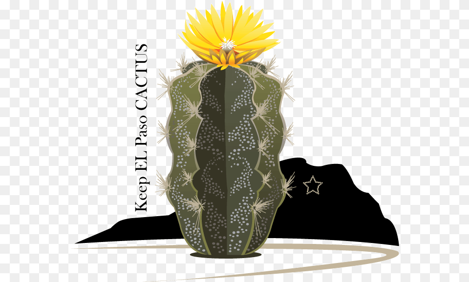 Bold Playful Vector Design For Drennan Enterprises Weberocereus, Cactus, Plant, Person Free Png
