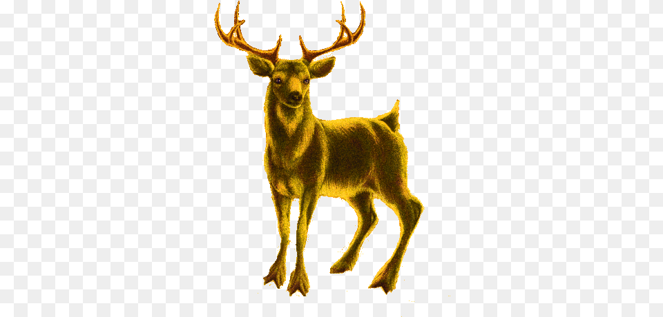 Boldog Karcsonyt Deer Sticker Animal Figure, Mammal, Wildlife, Antelope, Elk Free Png Download