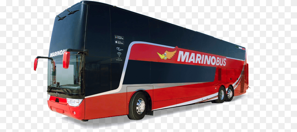 Bologna Marinobus Offerte, Bus, Tour Bus, Transportation, Vehicle Free Png