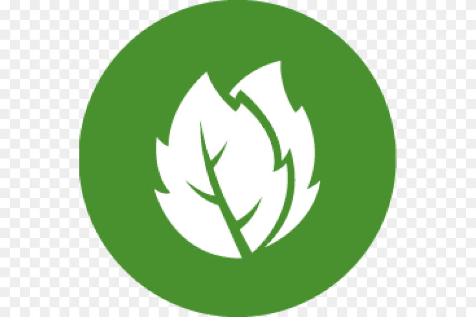 Bolsas Pasto, Leaf, Plant, Recycling Symbol, Symbol Free Png