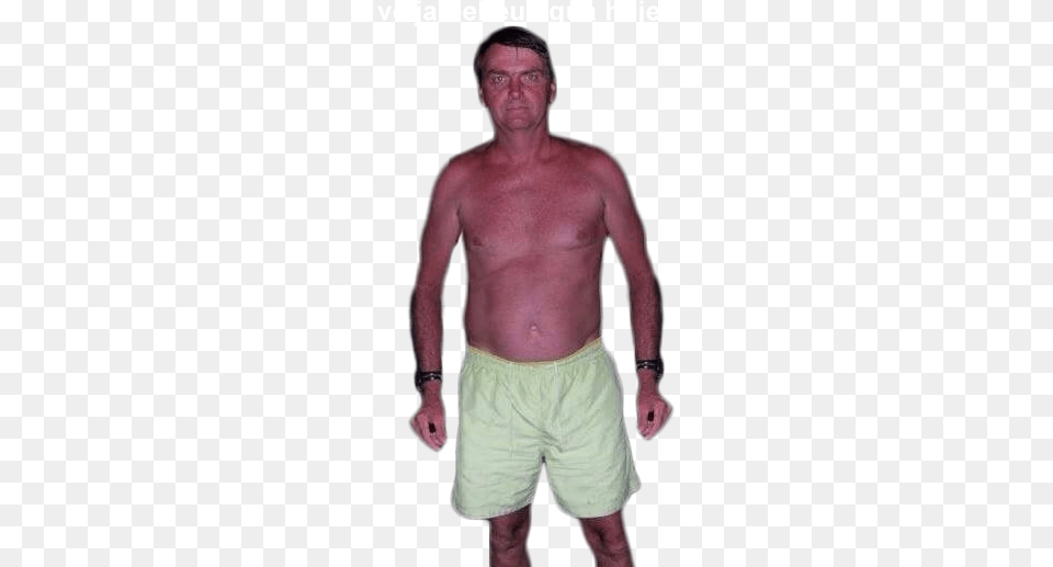 Bolsonaro Bolsonaro Com Peixe Na Mo, Clothing, Shorts, Adult, Male Png