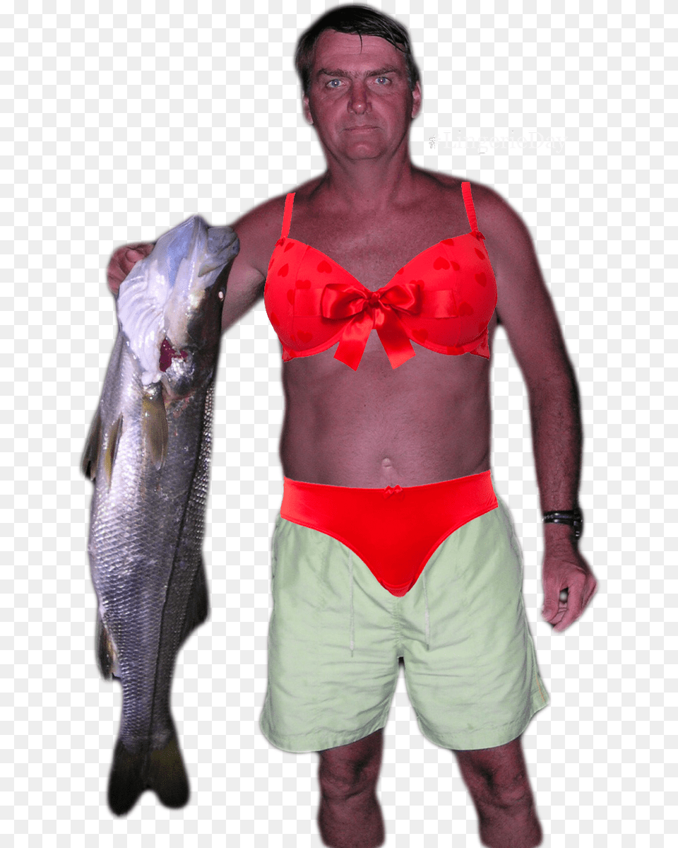 Bolsonaro Com Peixe, Swimwear, Clothing, Shorts, Adult Free Png Download