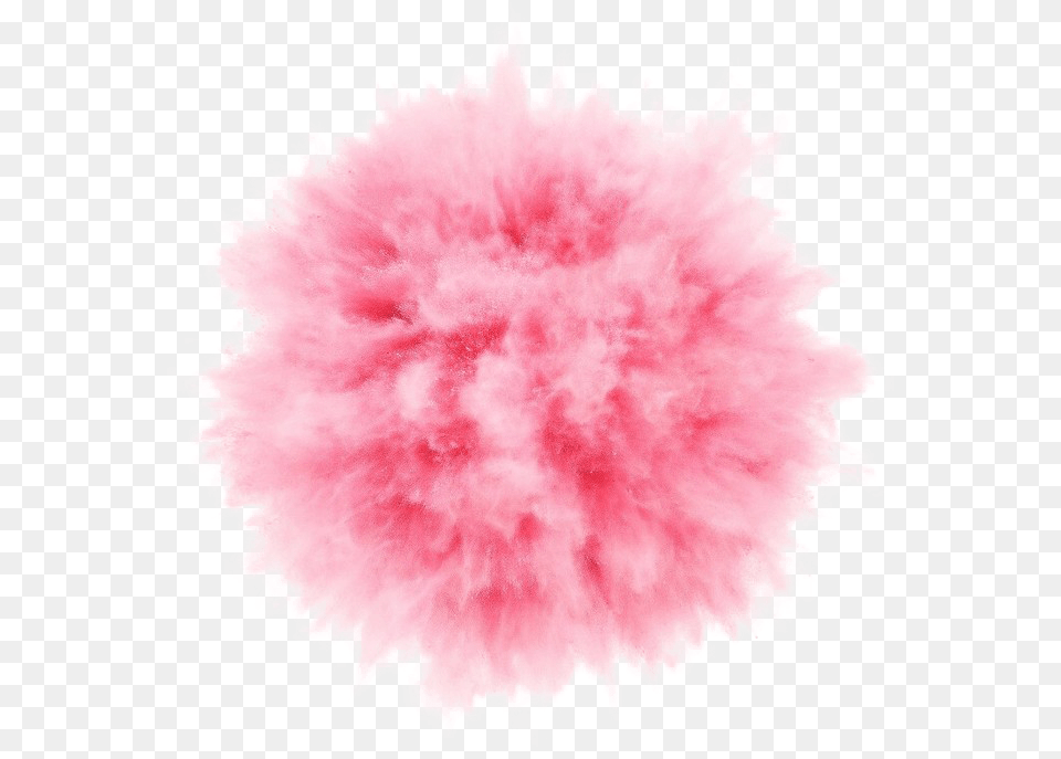 Bomb Explosion Smoke Pink Ftestickers Pink Powder Explosion, Flower, Plant Png Image