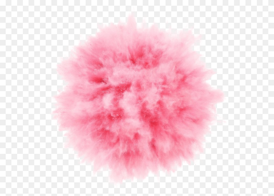 Bomb Explosion Smoke Pink Ftestickers Transparent Pink Smoke Background, Flower, Plant Free Png