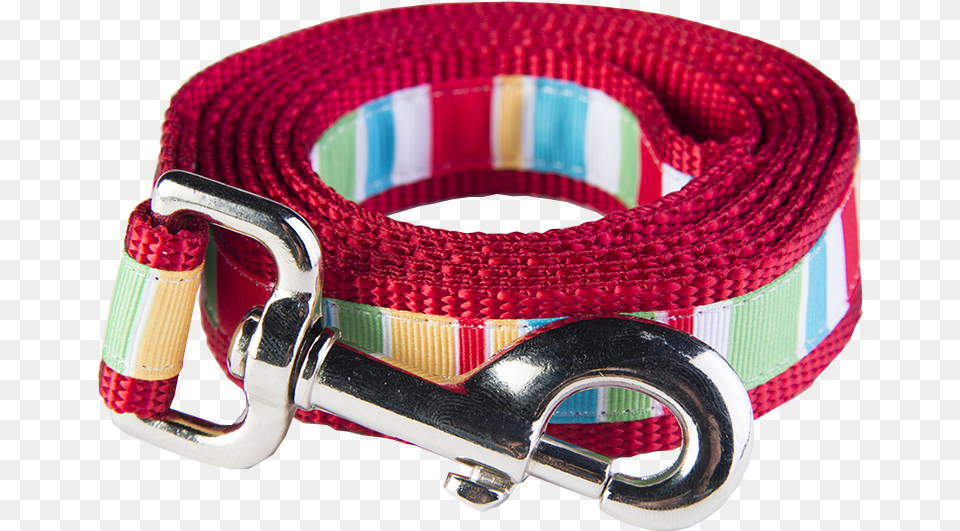 Bomb Pop Collection Belt, Accessories, Buckle, Leash Png Image