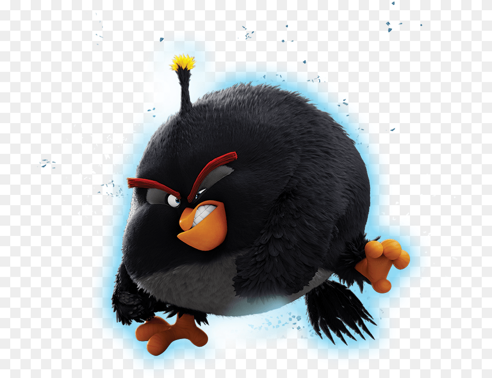 Bomb The Angry Birds Movie, Animal, Bird, Penguin Free Png