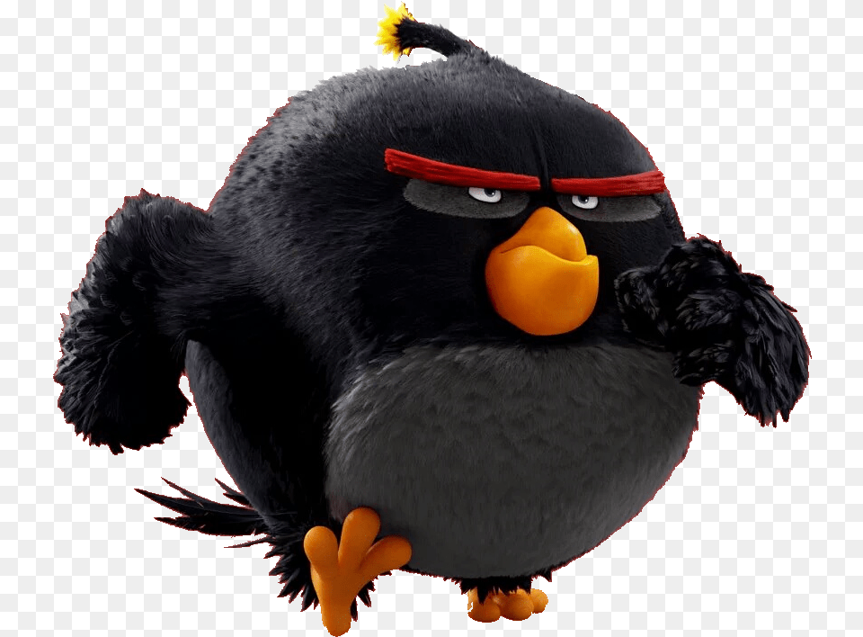 Bombgallery Angry Birds Characters Movie Angry Birds Movie Bomb Angry, Animal, Bird Png