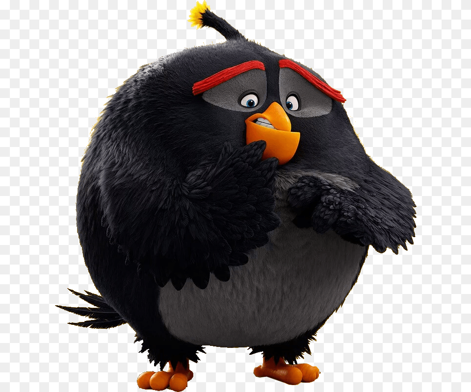 Bombgallery In Bomb From Angry Birds, Animal, Bird, Blackbird, Beak Free Png