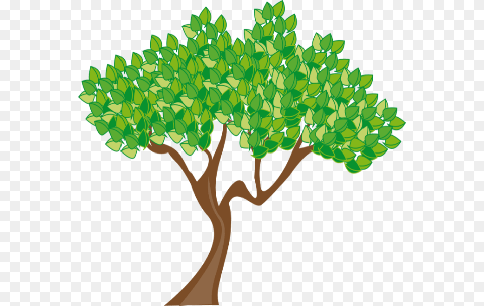 Bomen Planten En Dieren Juf Larissa, Green, Plant, Potted Plant, Tree Free Transparent Png