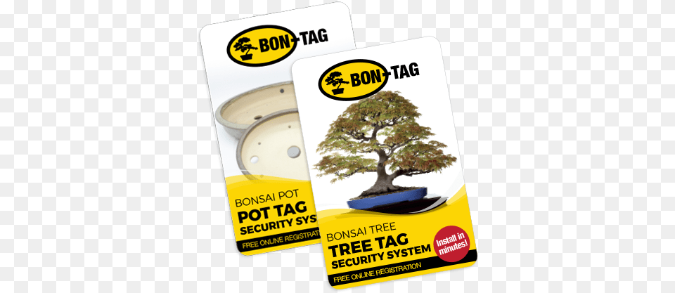 Bon Tag Tree, Plant, Potted Plant, Advertisement, Poster Free Png