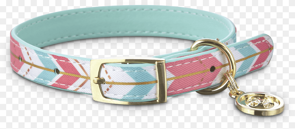 Bond U0026 Co Gold Chevron Small Dog Collar Xxs Petco For Teen, Accessories, Belt, Buckle Free Png Download