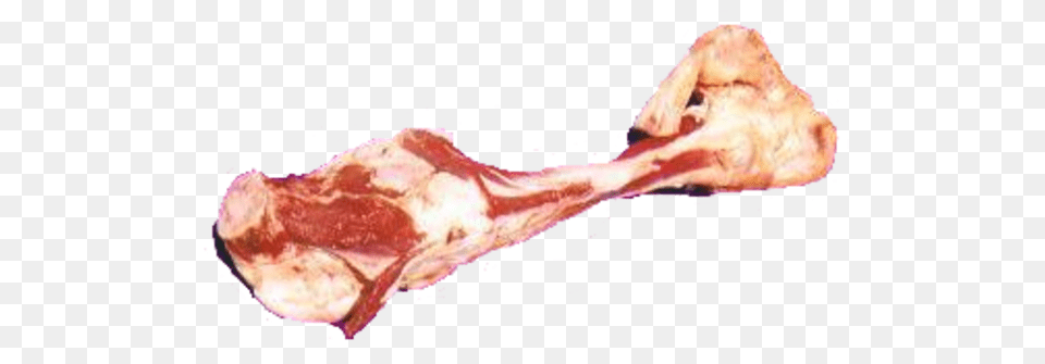 Bone, Food, Meat, Mutton, Animal Free Png Download