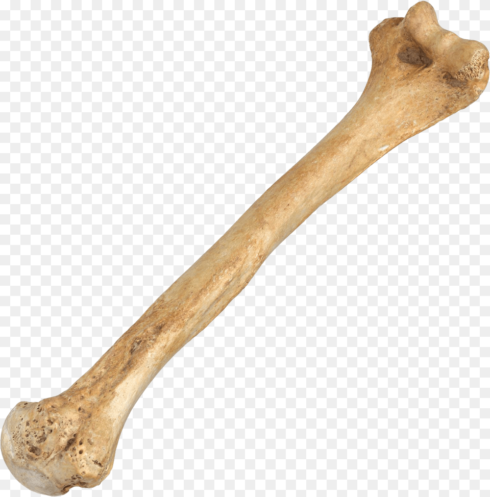 Bone, Cutlery, Spoon, Smoke Pipe Free Png Download