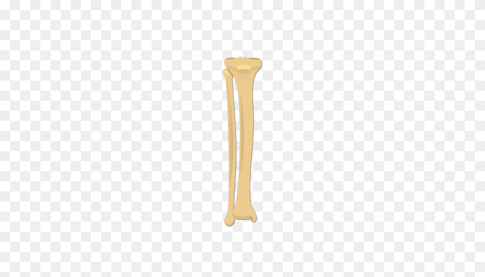 Bone, Cutlery, Smoke Pipe Png Image
