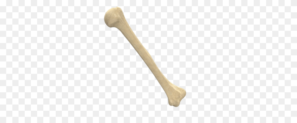 Bone, Cutlery, Spoon, Smoke Pipe Png