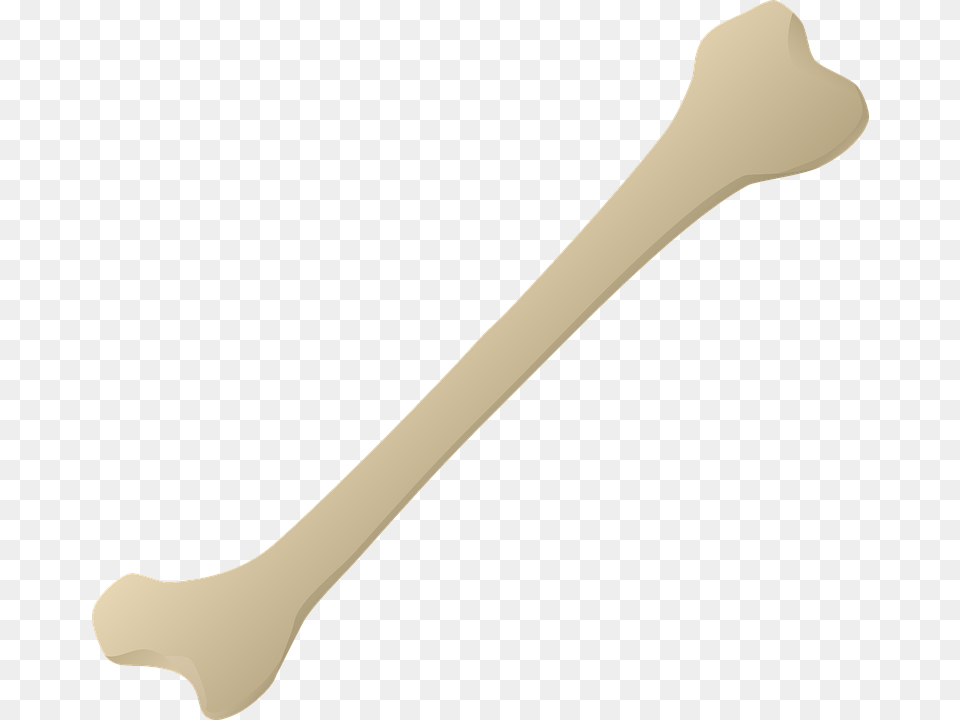 Bone, Cutlery, Spoon, Blade, Dagger Png Image