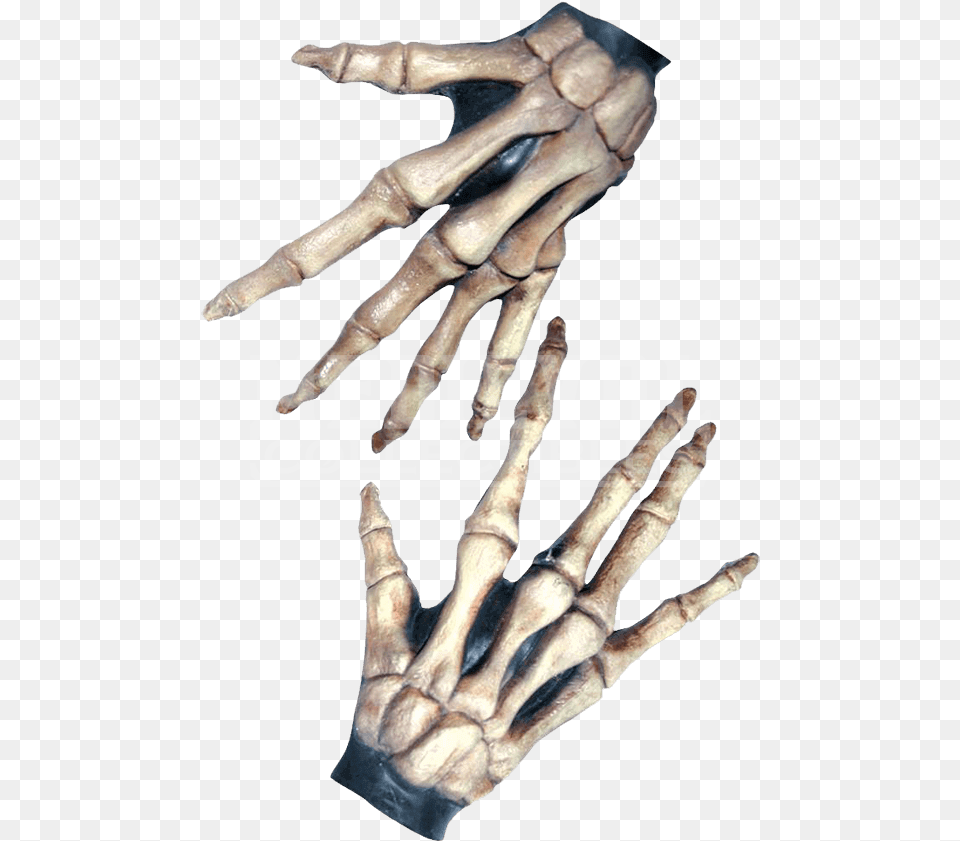 Bone Hands Bony Hands, Hardware, Electronics, Person, Man Png