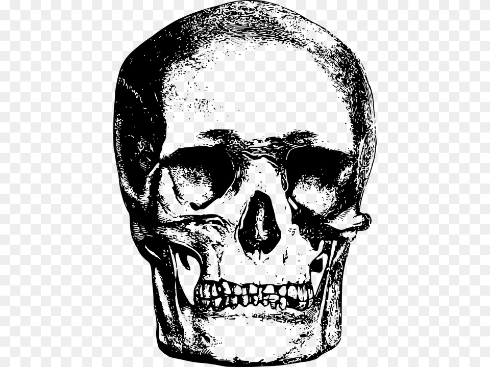 Bone Head Skeleton Skull Vintage Skull Illustration, Gray Png