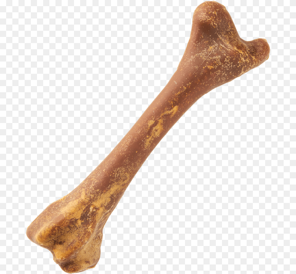 Bone Images Transparent Background Bone, Smoke Pipe, Pottery Png Image
