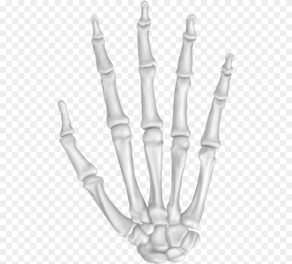 Bone Pic Hand Bones, Chess, Game, X-ray Free Png