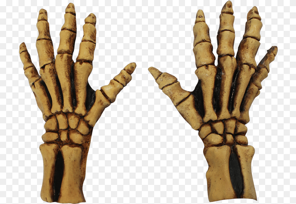 Bone Skeleton Gloves Full Skeleton Gloves, Electronics, Hardware, Clothing, Glove Free Png