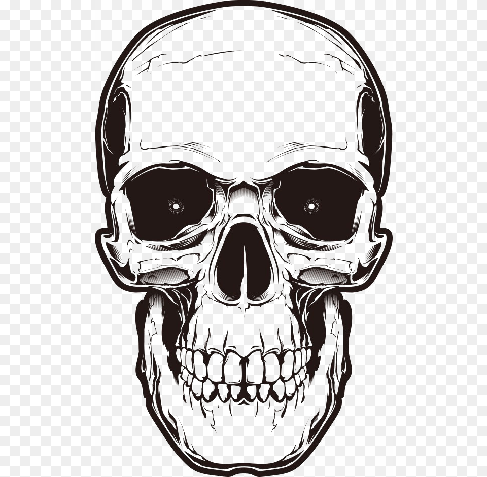 Bone Skull Image Background Skull, Stencil, Art, Drawing, Adult Free Png